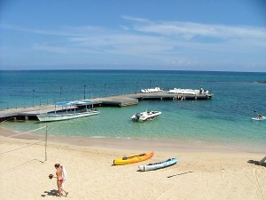 jamaica jorges fontes ed02 (3)