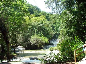 jamaica jorges fontes ed02 (6)