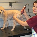 tia pet care maio 2013 (1)