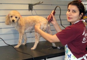 tia pet care maio 2013 (1)