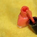 beleza ed 04 (5)