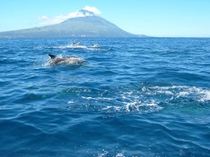 turismo acores portugal ed 07 (1)