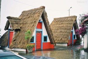 ilha de madeira (1)