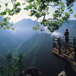 ilha de madeira (6)