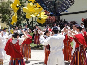 ilha de madeira (7)