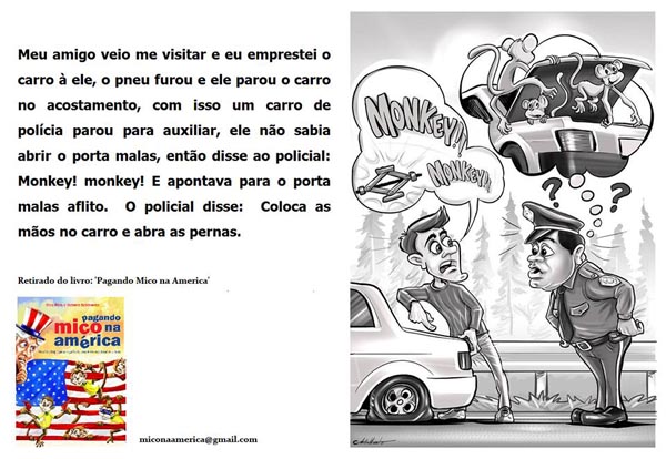livro de gafes (2)