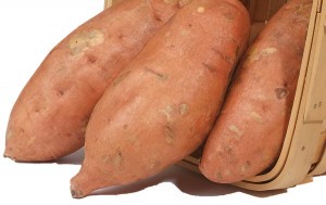 Sweet potato varieties shot in the studio for Don Labonte