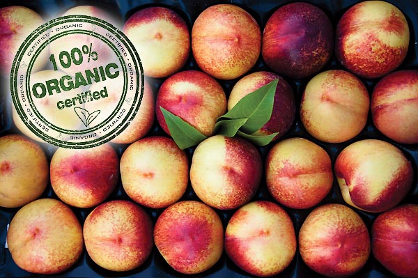 organic peaches