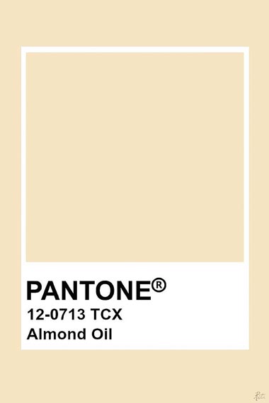 tons pantone 202102 (1)