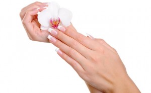 Beautiful well-groomed  female hand with flower
