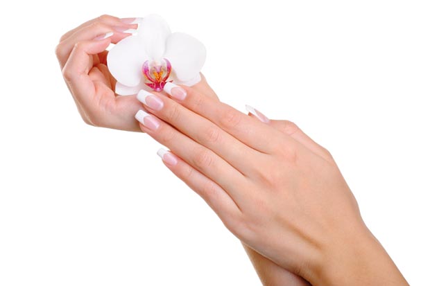 Beautiful well-groomed  female hand with flower