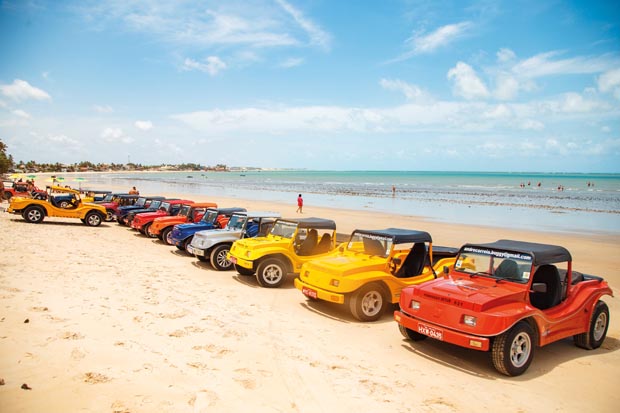 Natal, Rio Grande do Norte, Brazil - March 12 2021: Image of bug