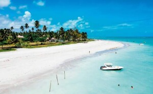 turismo Anna Maria Island 202406 (4)