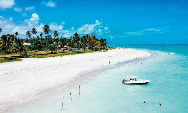 turismo Anna Maria Island 202406 (4)