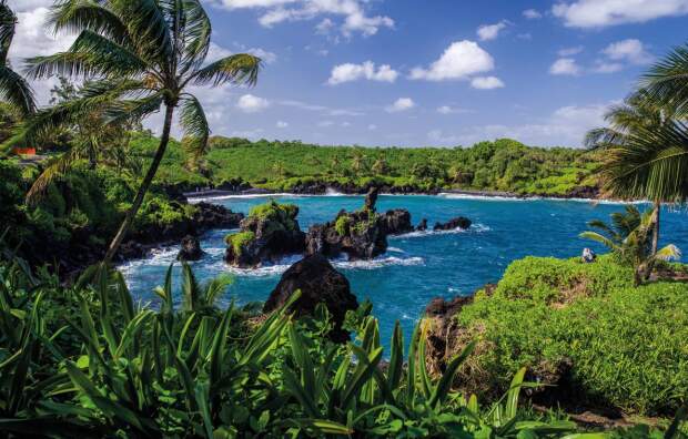 turismo ilhas tropicais 202408 (1)