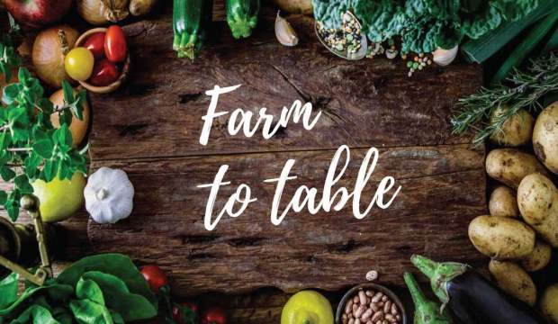 farm to table food 202603