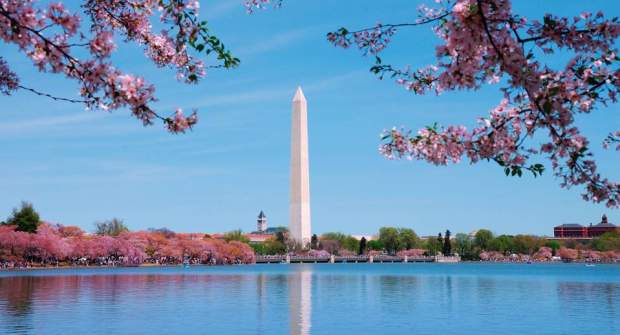 turismo washington dc eua 202611